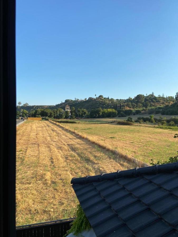 Paz Y Tranquilidad, A Un Paso De Sevilla San Juan de Aznalfarache Eksteriør bilde